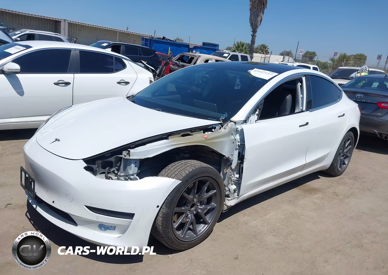 2019 Tesla Model 3 Long Range-Mid Range-Standard Range-Standard Range Plus VIN:5YJ3E1EA9KF362788 - 2