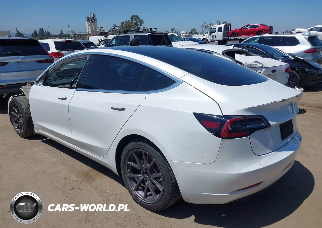 2019 Tesla Model 3 Long Range-Mid Range-Standard Range-Standard Range Plus VIN:5YJ3E1EA9KF362788 - 3