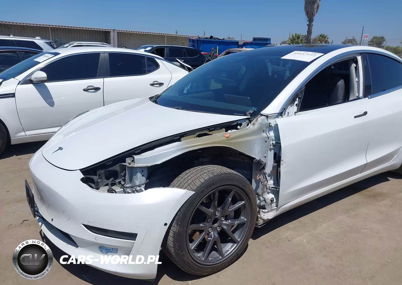2019 Tesla Model 3 Long Range-Mid Range-Standard Range-Standard Range Plus VIN:5YJ3E1EA9KF362788 - 6