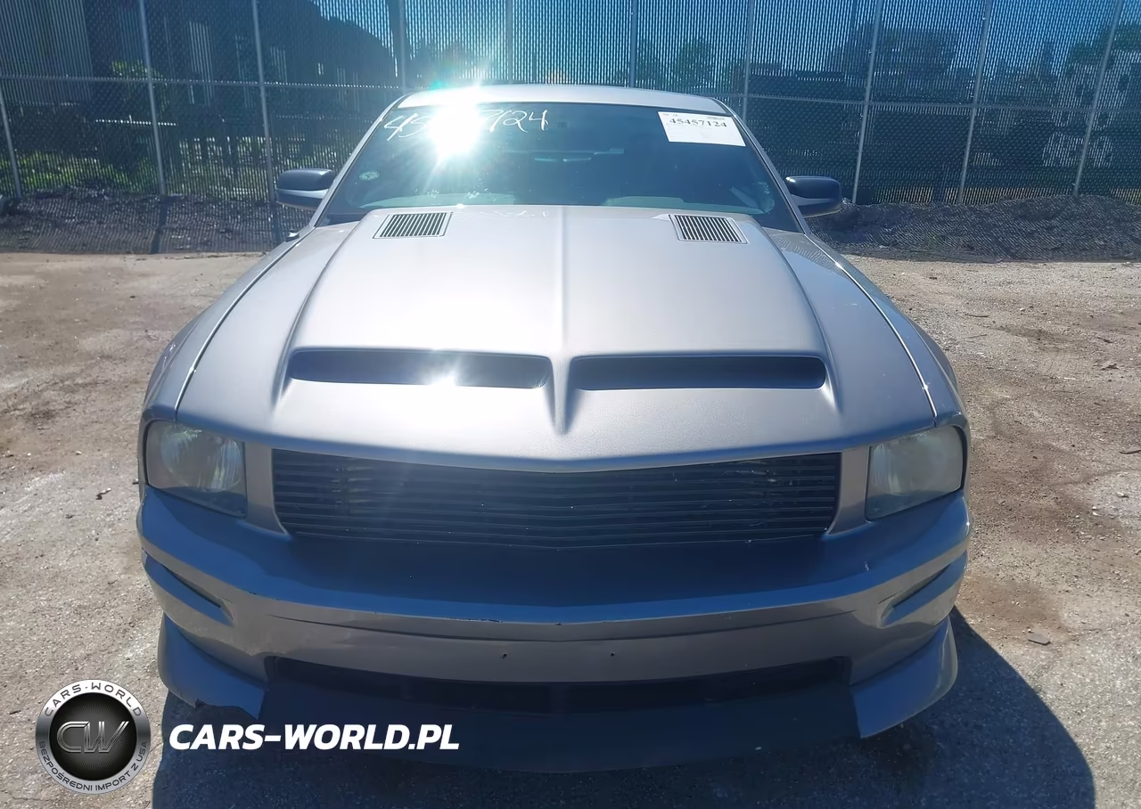 2006 Ford Mustang Gt VIN:1ZVFT82H865165533 - 12