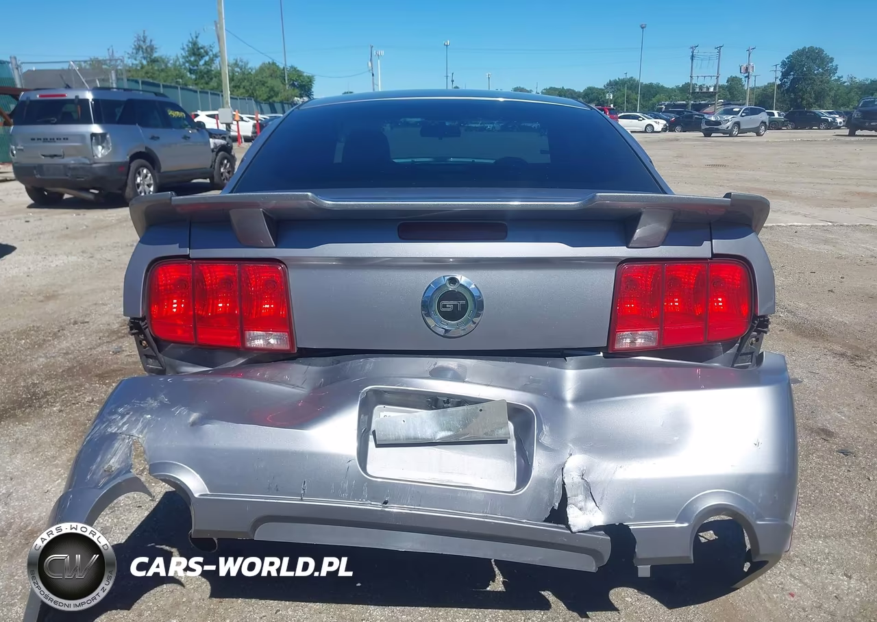 2006 Ford Mustang Gt VIN:1ZVFT82H865165533 - 16