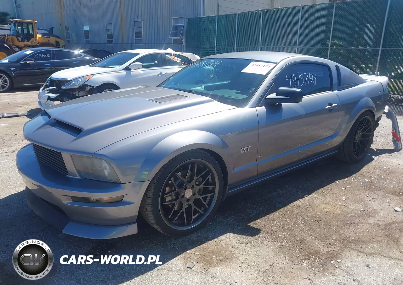 2006 Ford Mustang Gt VIN:1ZVFT82H865165533 - 2