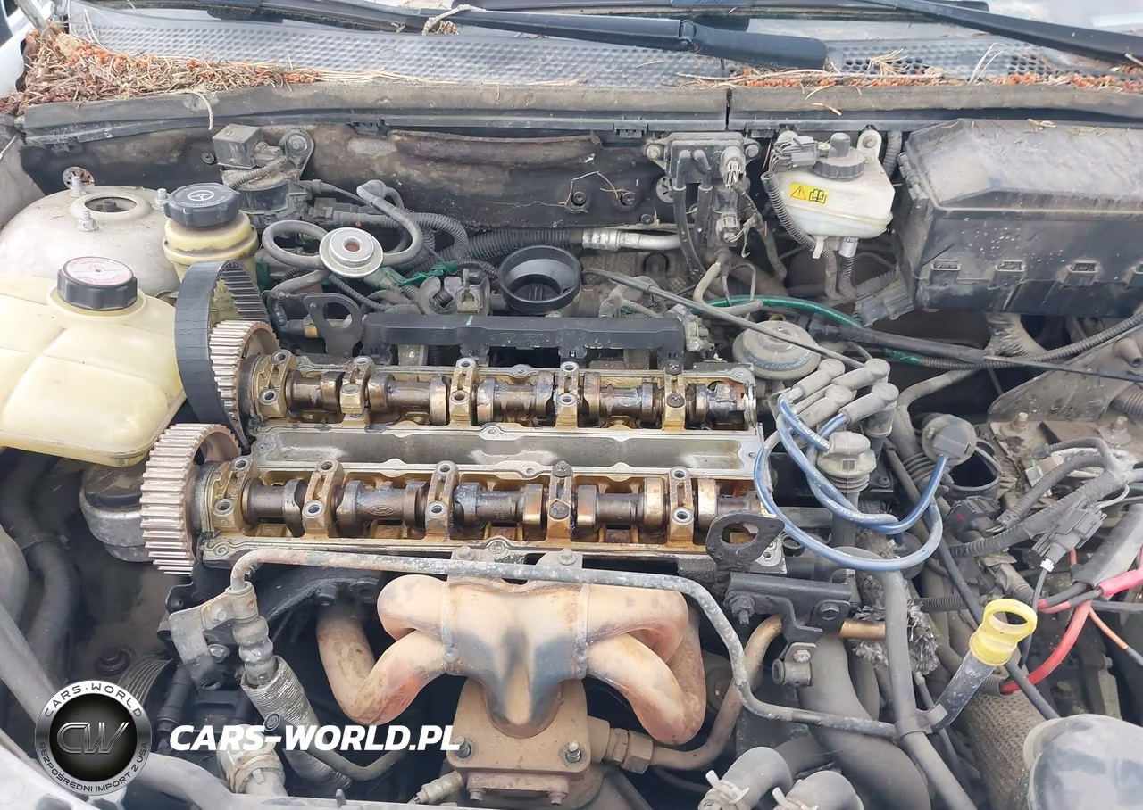 2000 Ford Focus Se VIN:1FAFP3434YW423609 - 12