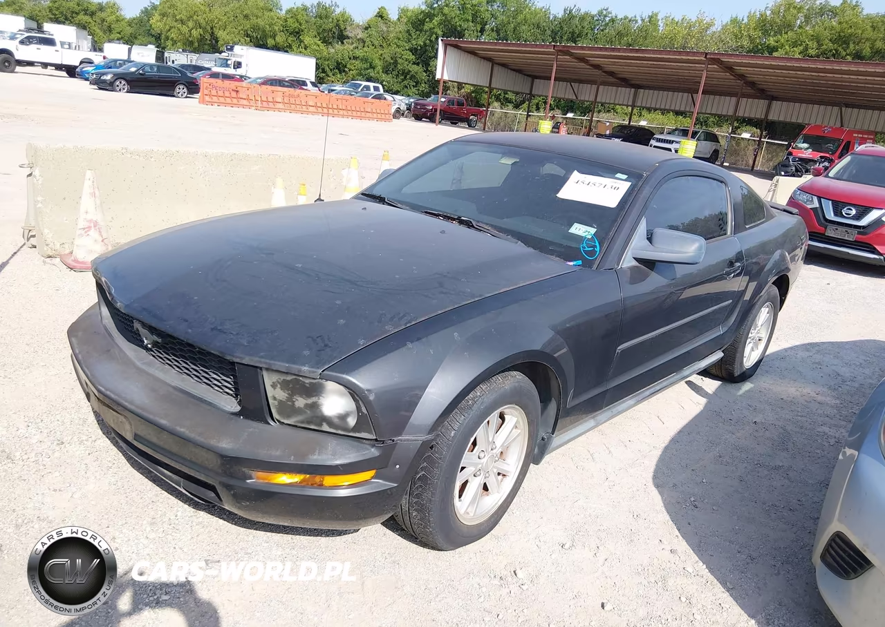2008 Ford Mustang V6 Deluxe-V6 Premium VIN:1ZVHT80NX85174979 - 2