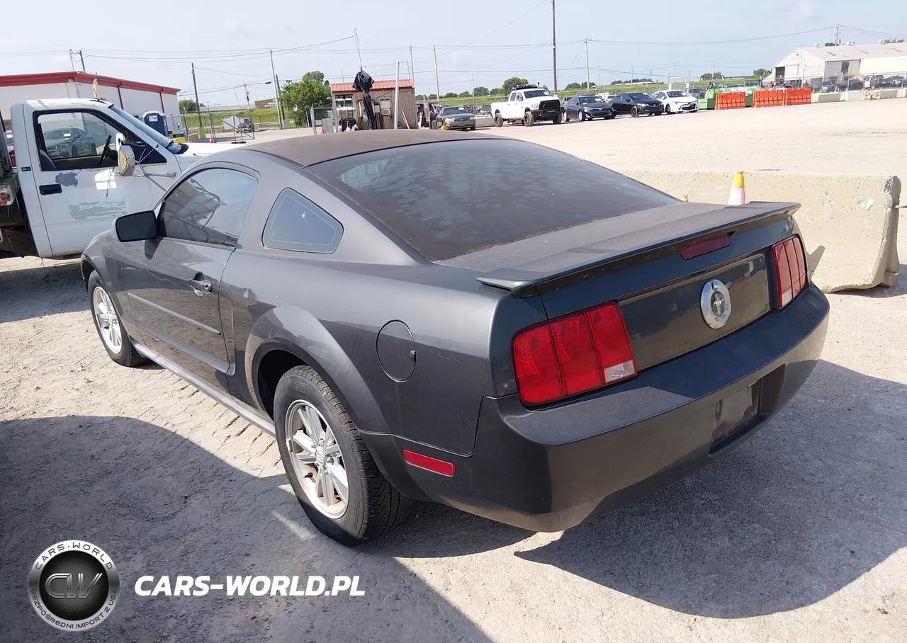 2008 Ford Mustang V6 Deluxe-V6 Premium VIN:1ZVHT80NX85174979 - 3