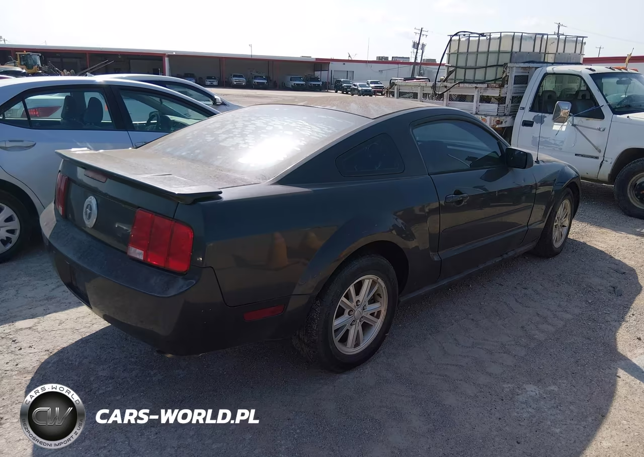 2008 Ford Mustang V6 Deluxe-V6 Premium VIN:1ZVHT80NX85174979 - 4