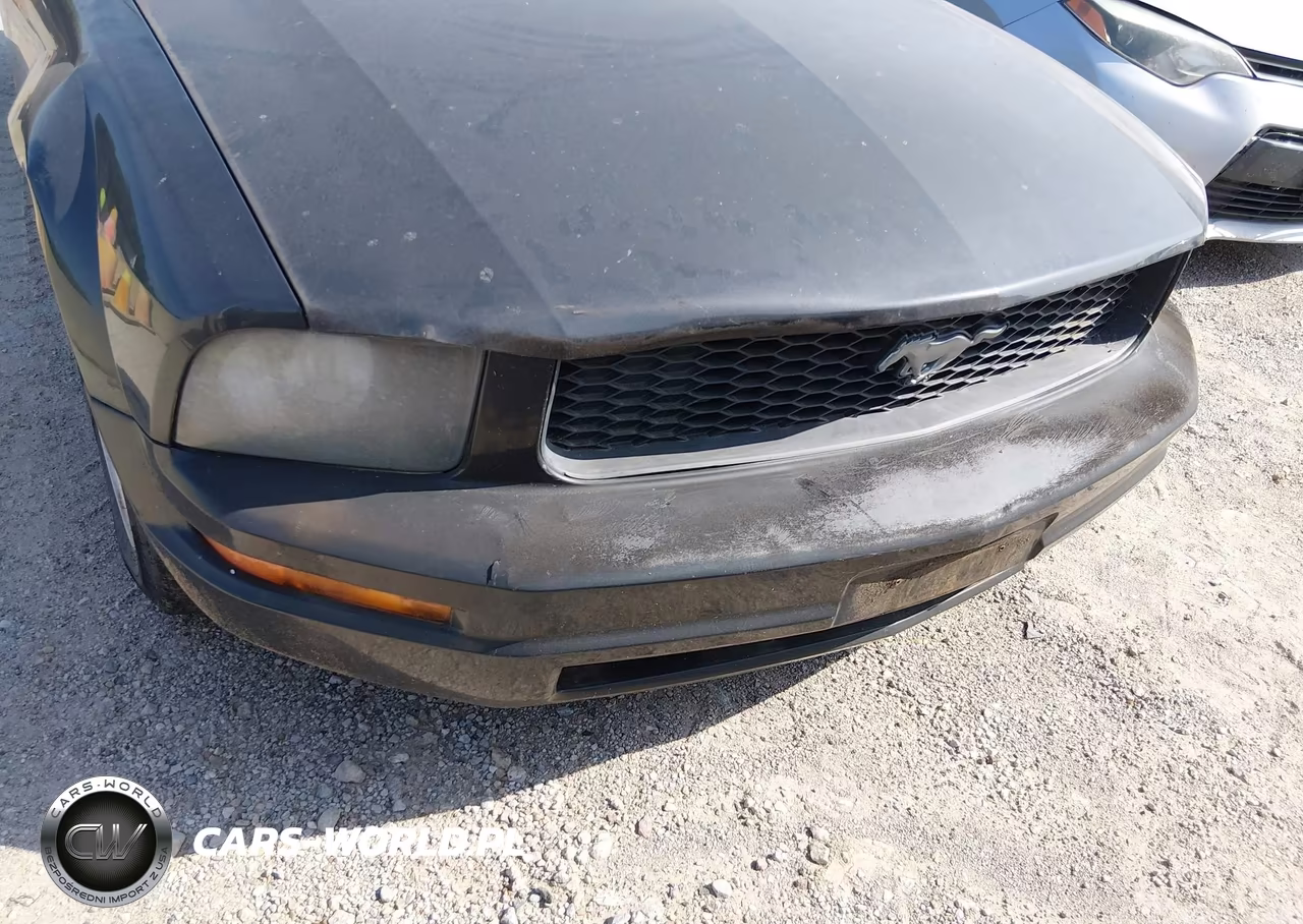 2008 Ford Mustang V6 Deluxe-V6 Premium VIN:1ZVHT80NX85174979 - 6