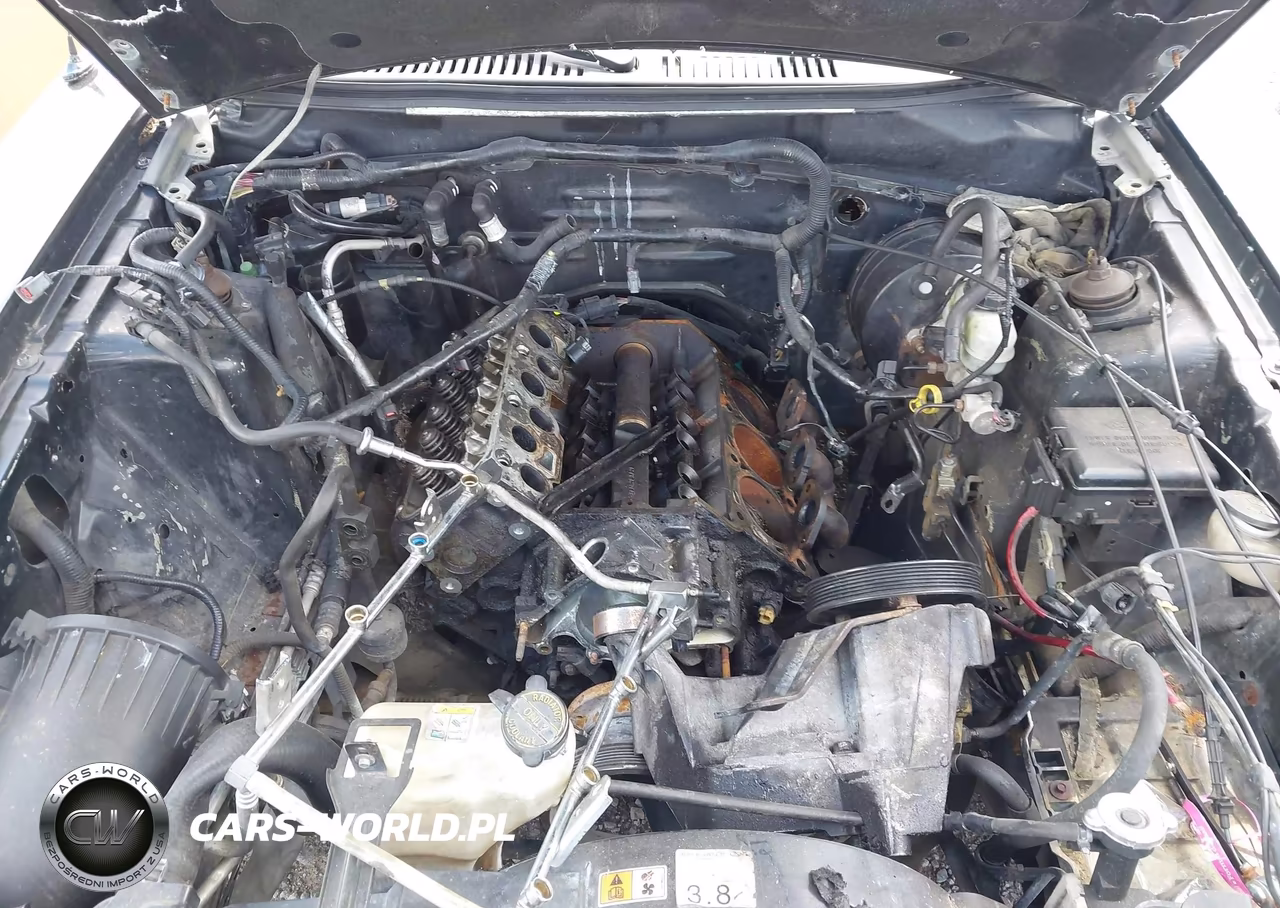 2001 Ford Mustang VIN:1FAFP44481F158360 - 10
