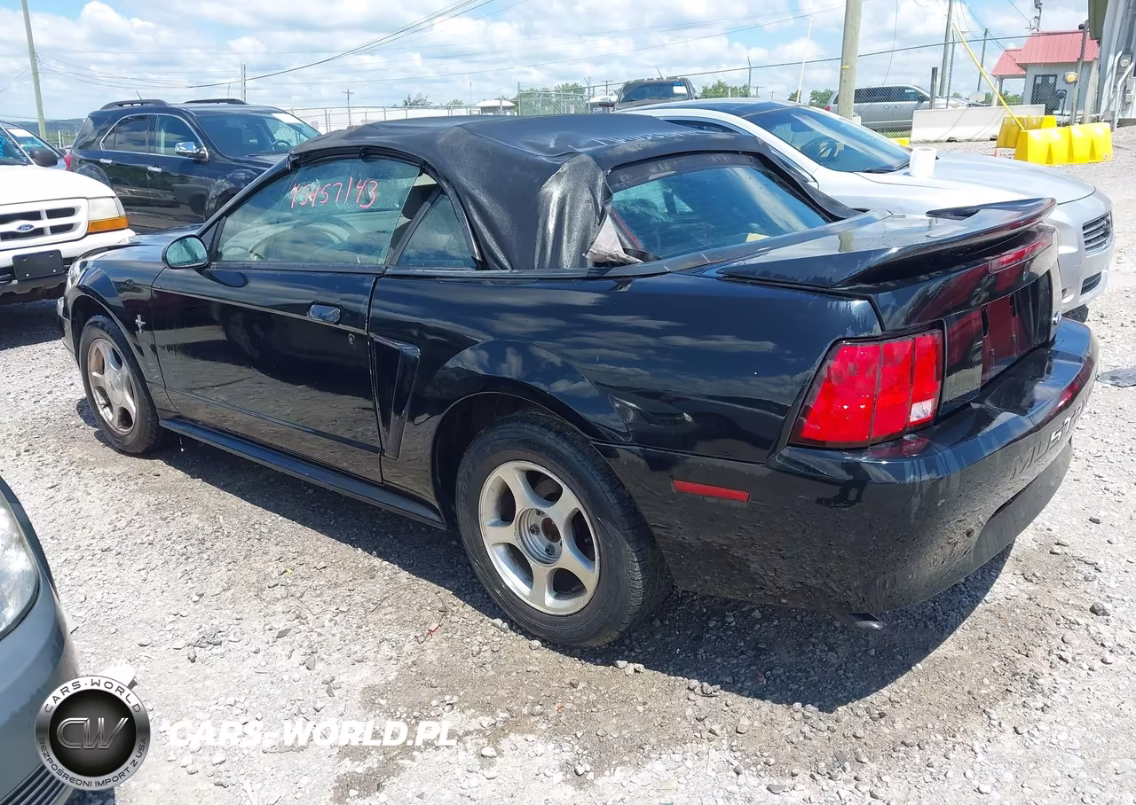 2001 Ford Mustang VIN:1FAFP44481F158360 - 3
