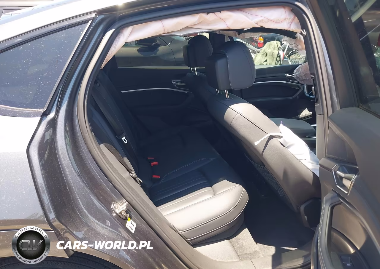 2024 Audi Q8 E-Tron S Line Premium Quattro VIN:WA1BAAGE8RB038309 - 8