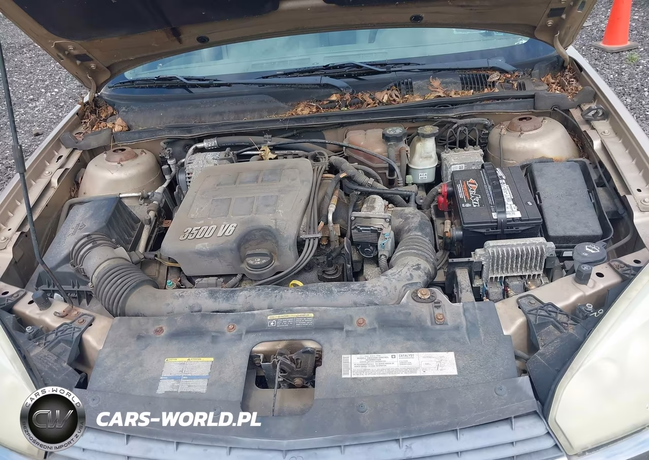 2005 Chevrolet Malibu Ls VIN:1G1ZT54825F249733 - 10