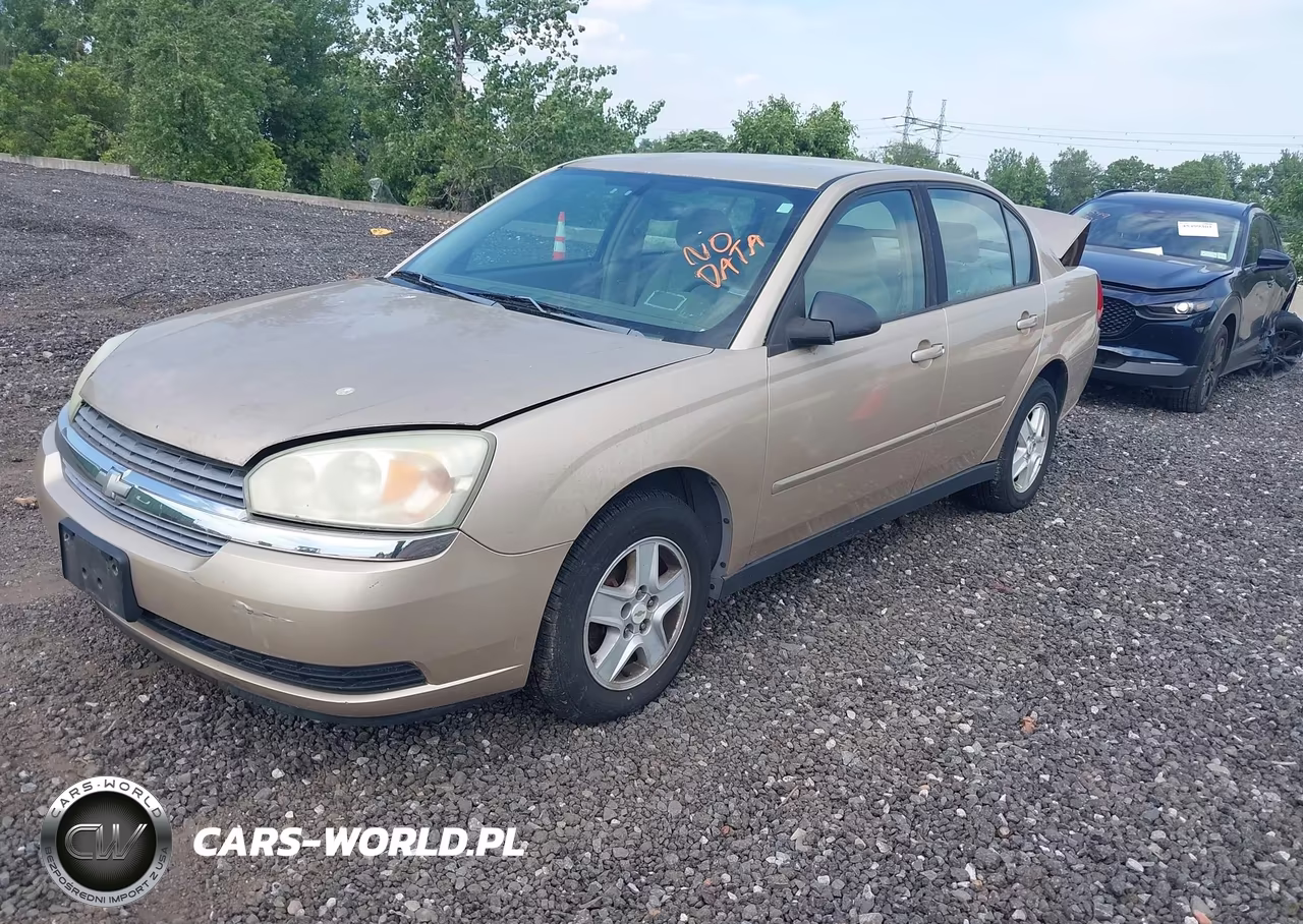 2005 Chevrolet Malibu Ls VIN:1G1ZT54825F249733 - 2