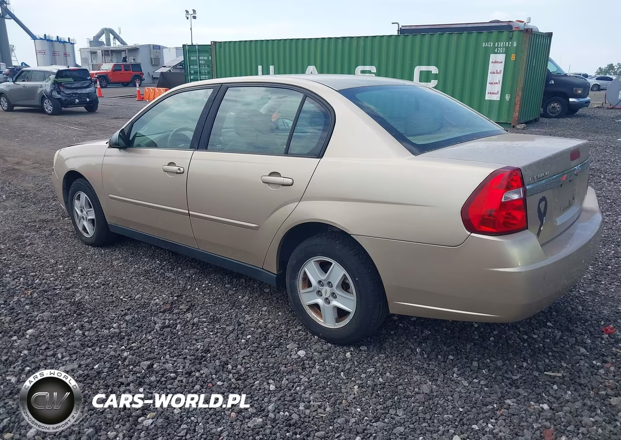 2005 Chevrolet Malibu Ls VIN:1G1ZT54825F249733 - 3