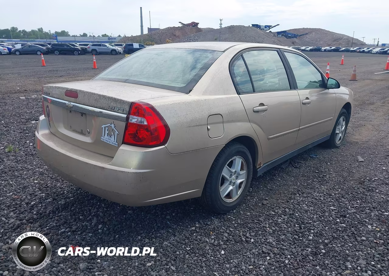 2005 Chevrolet Malibu Ls VIN:1G1ZT54825F249733 - 4