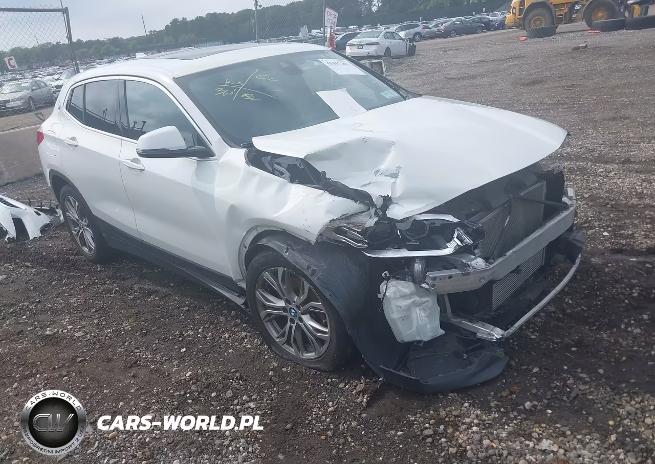 2019 BMW X2 xDrive28I – zdjęcie 1 z 18
