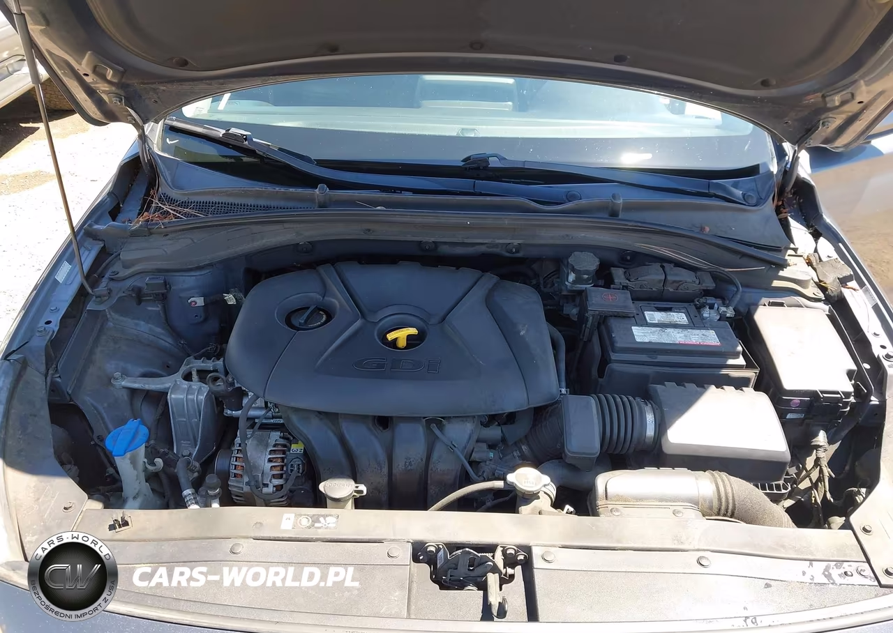 2018 Hyundai Elantra Gt VIN:KMHH35LE2JU013448 - 10