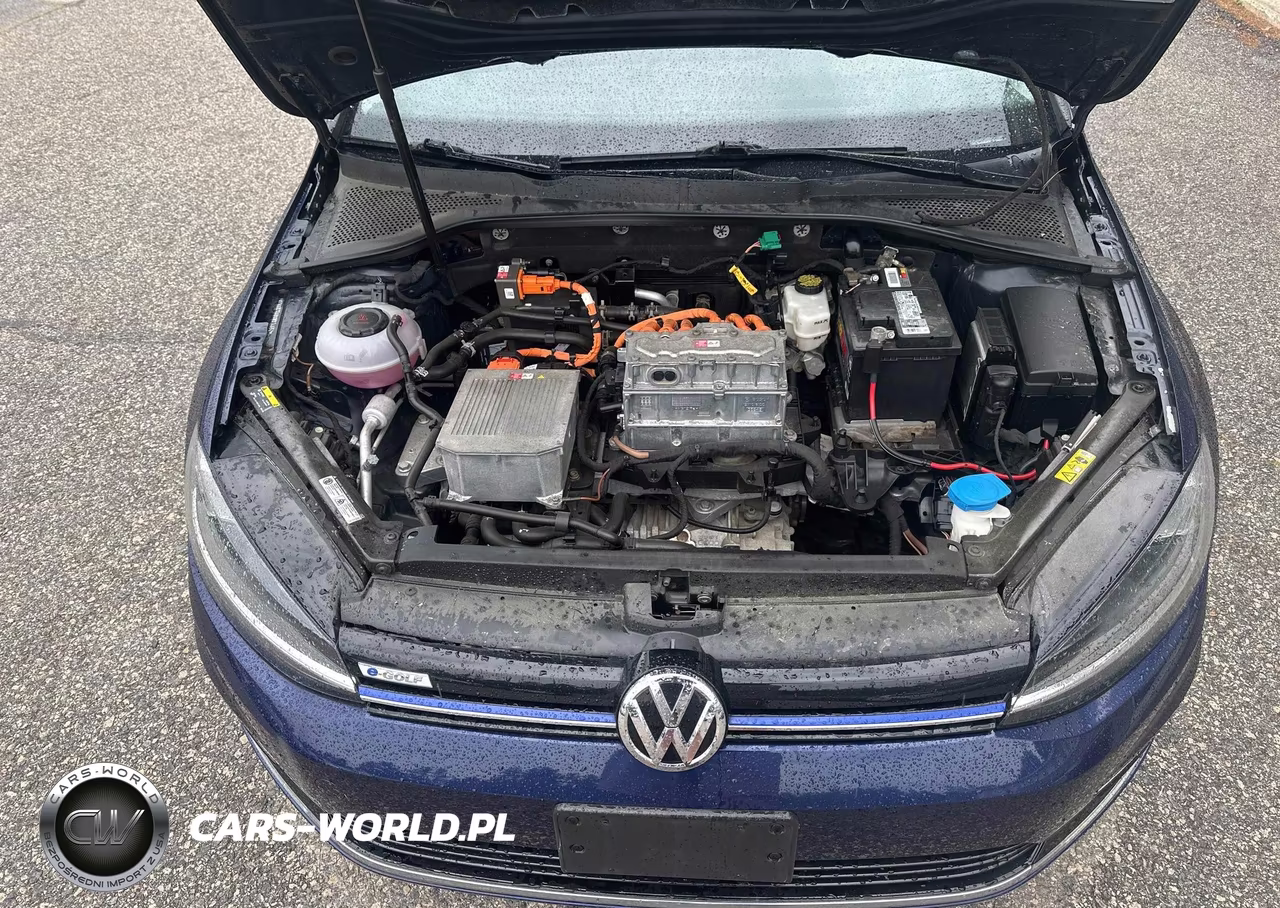 2019 Volkswagen E-Golf Se VIN:WVWKR7AU8KW914652 - 10