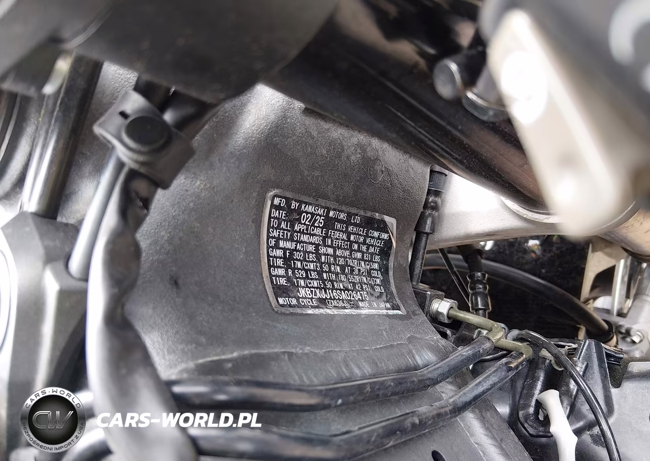 2025 Kawasaki Zx636 K VIN:JKBZXJJ16SA026475 - 10