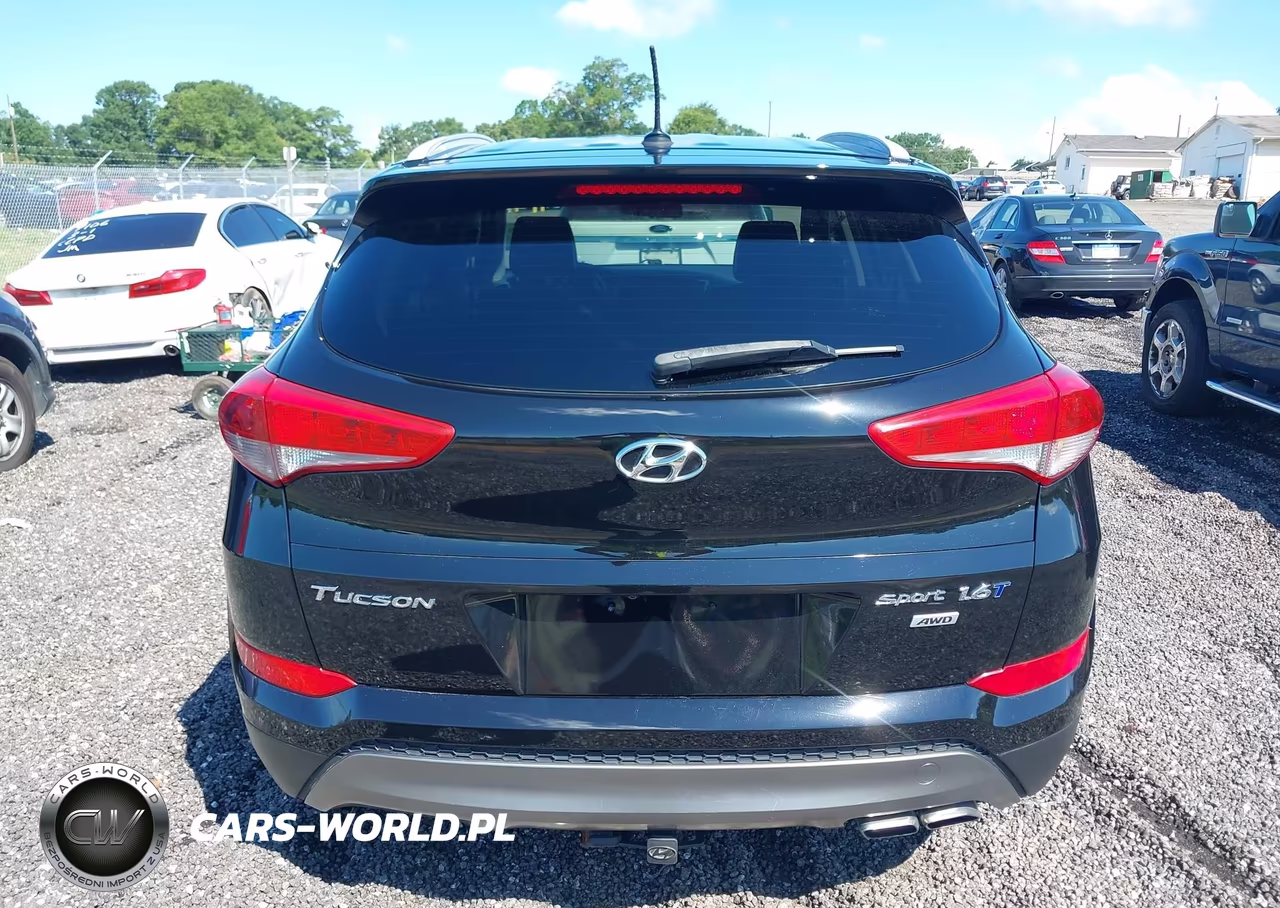 2016 Hyundai Tucson Sport VIN:KM8J3CA23GU047437 - 16