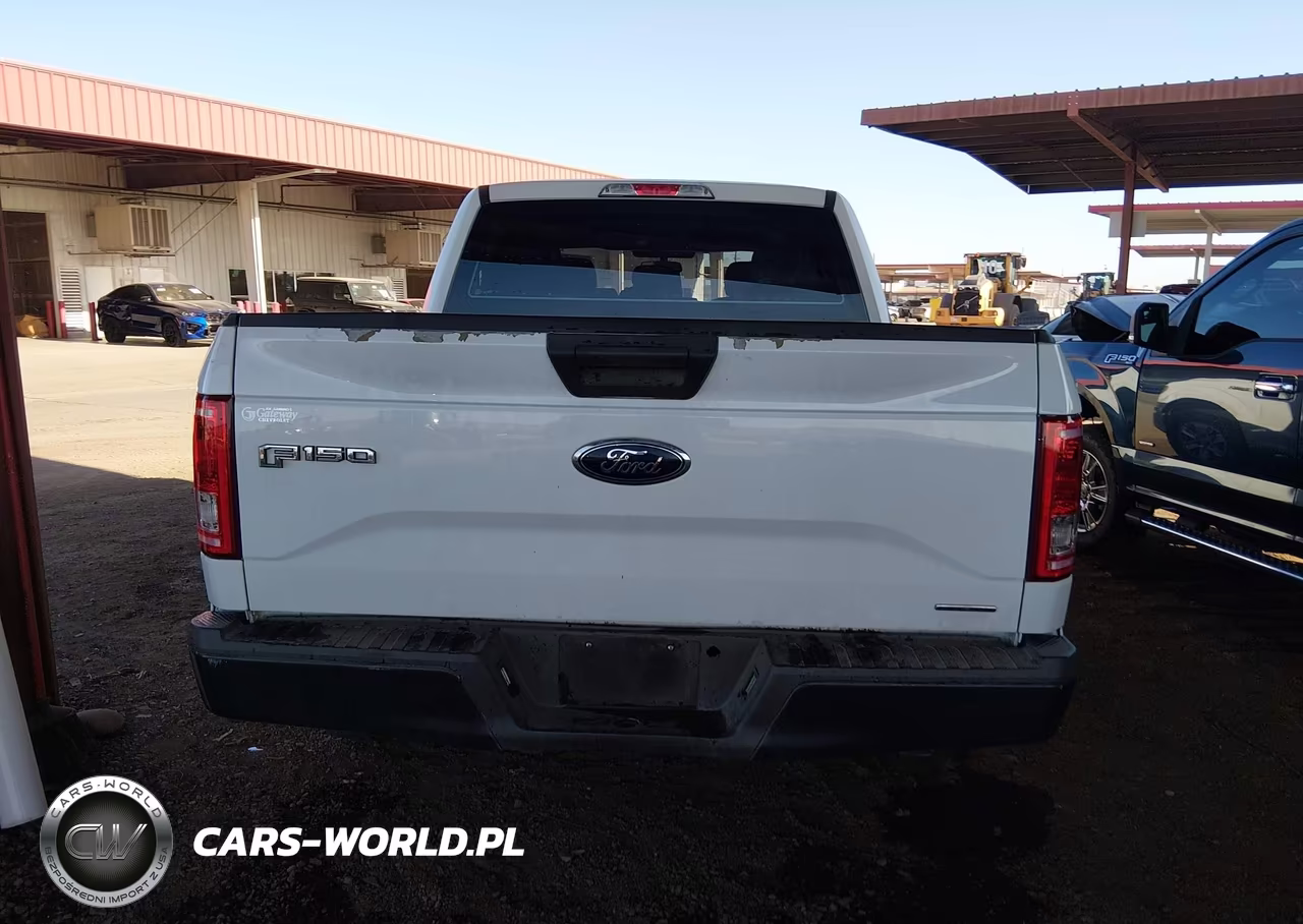 2016 Ford F-150 Xl-Xlt VIN:1FTEW1C87GKE95811 - 16
