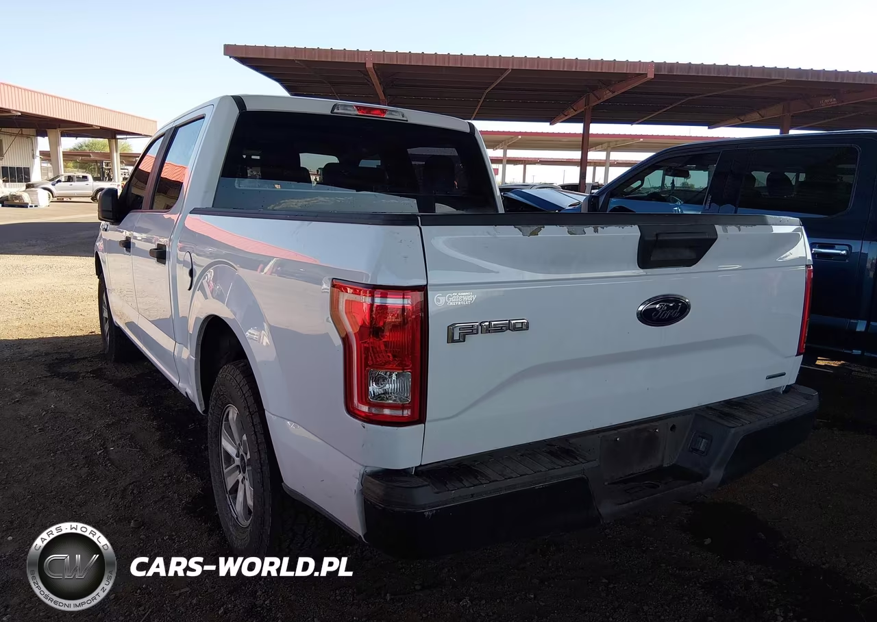 2016 Ford F-150 Xl-Xlt VIN:1FTEW1C87GKE95811 - 19
