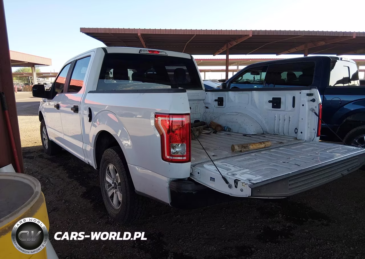 2016 Ford F-150 Xl-Xlt VIN:1FTEW1C87GKE95811 - 3