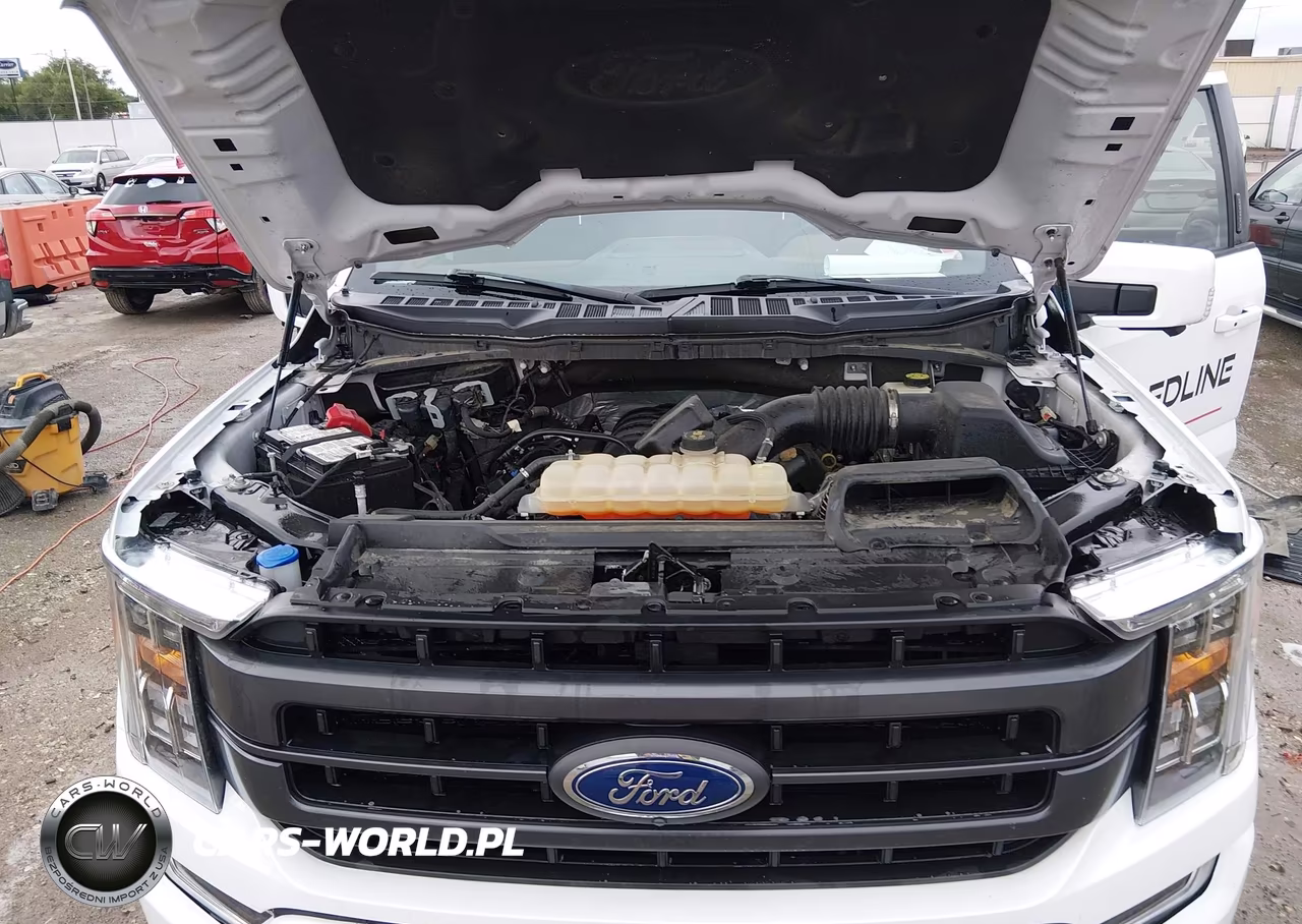2023 Ford F150 Supercrew VIN:1FTFW1E54PFA92661 - 10