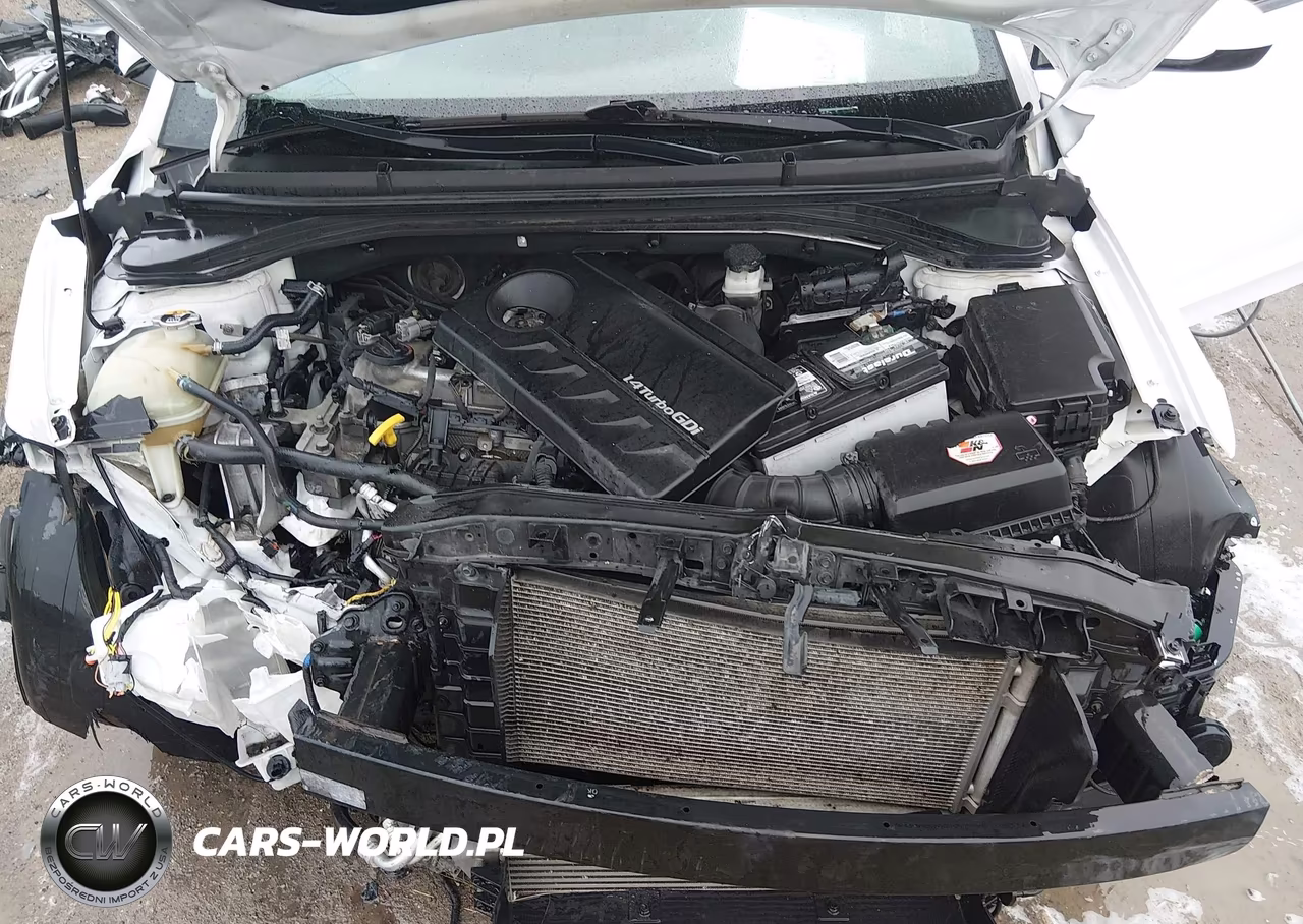 2017 Hyundai Elantra Eco VIN:5NPD94LA9HH075507 - 10