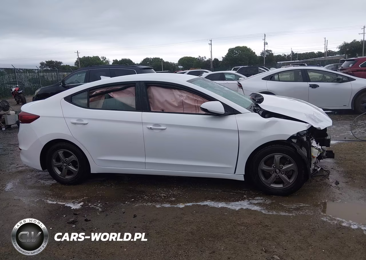 2017 Hyundai Elantra Eco VIN:5NPD94LA9HH075507 - 13