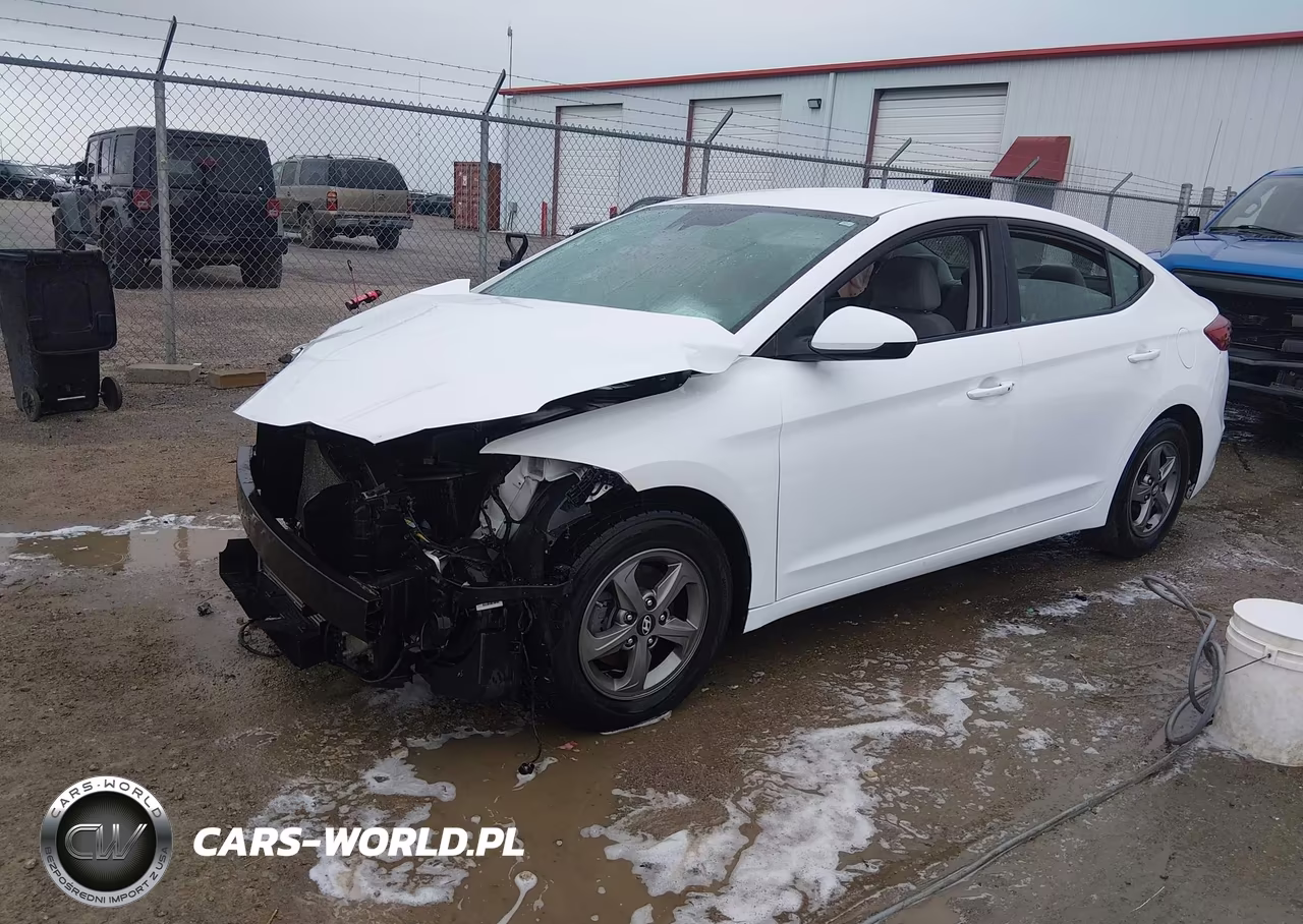 2017 Hyundai Elantra Eco VIN:5NPD94LA9HH075507 - 2
