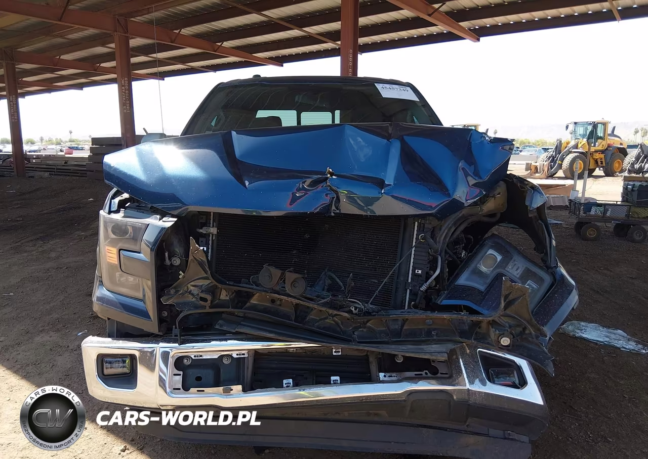 2016 Ford F-150 VIN:1FTEW1CG4GKE74860 - 13