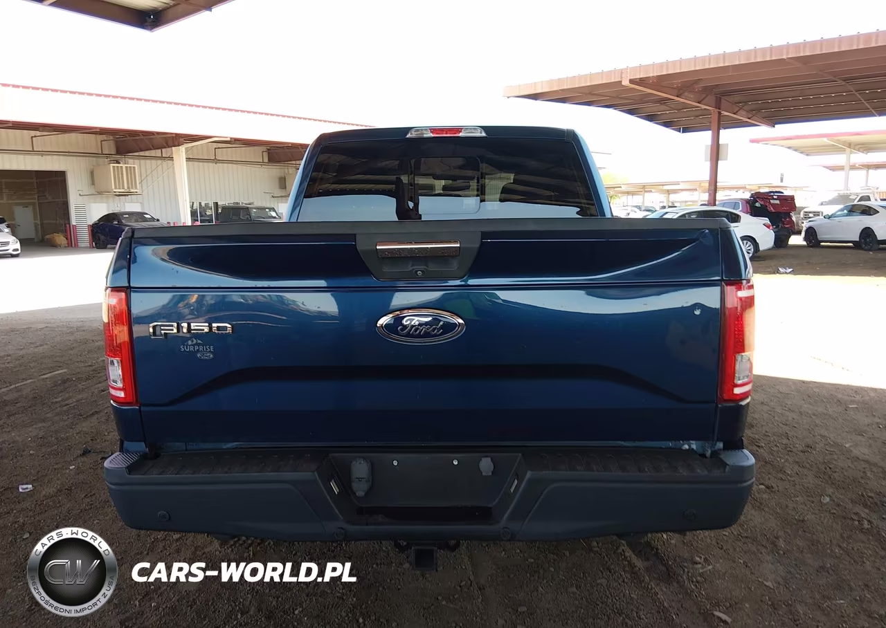 2016 Ford F-150 VIN:1FTEW1CG4GKE74860 - 17
