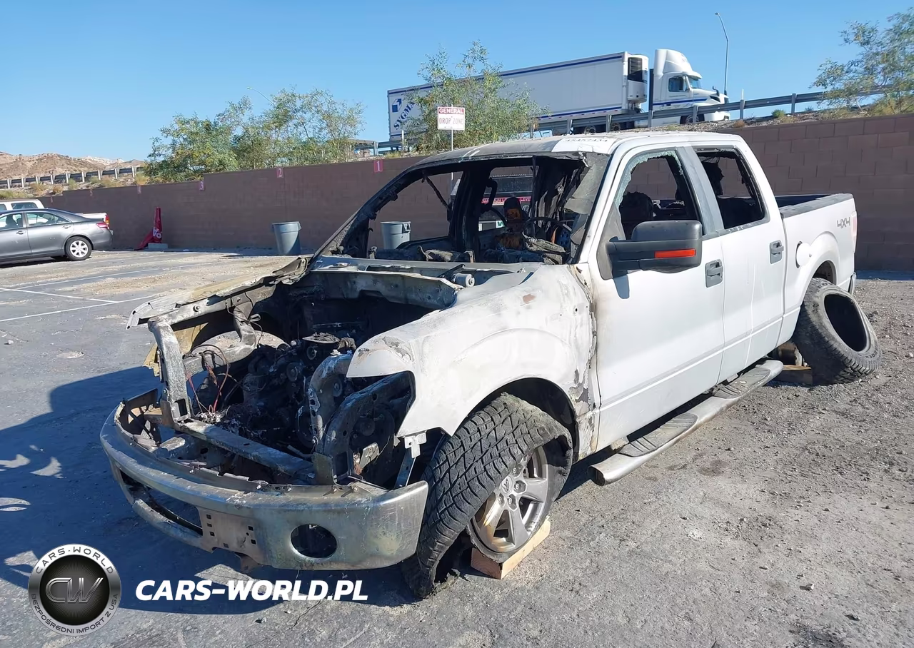 2010 Ford F-150 Xl-Xlt VIN:1FTEW1E84AFA12949 - 2