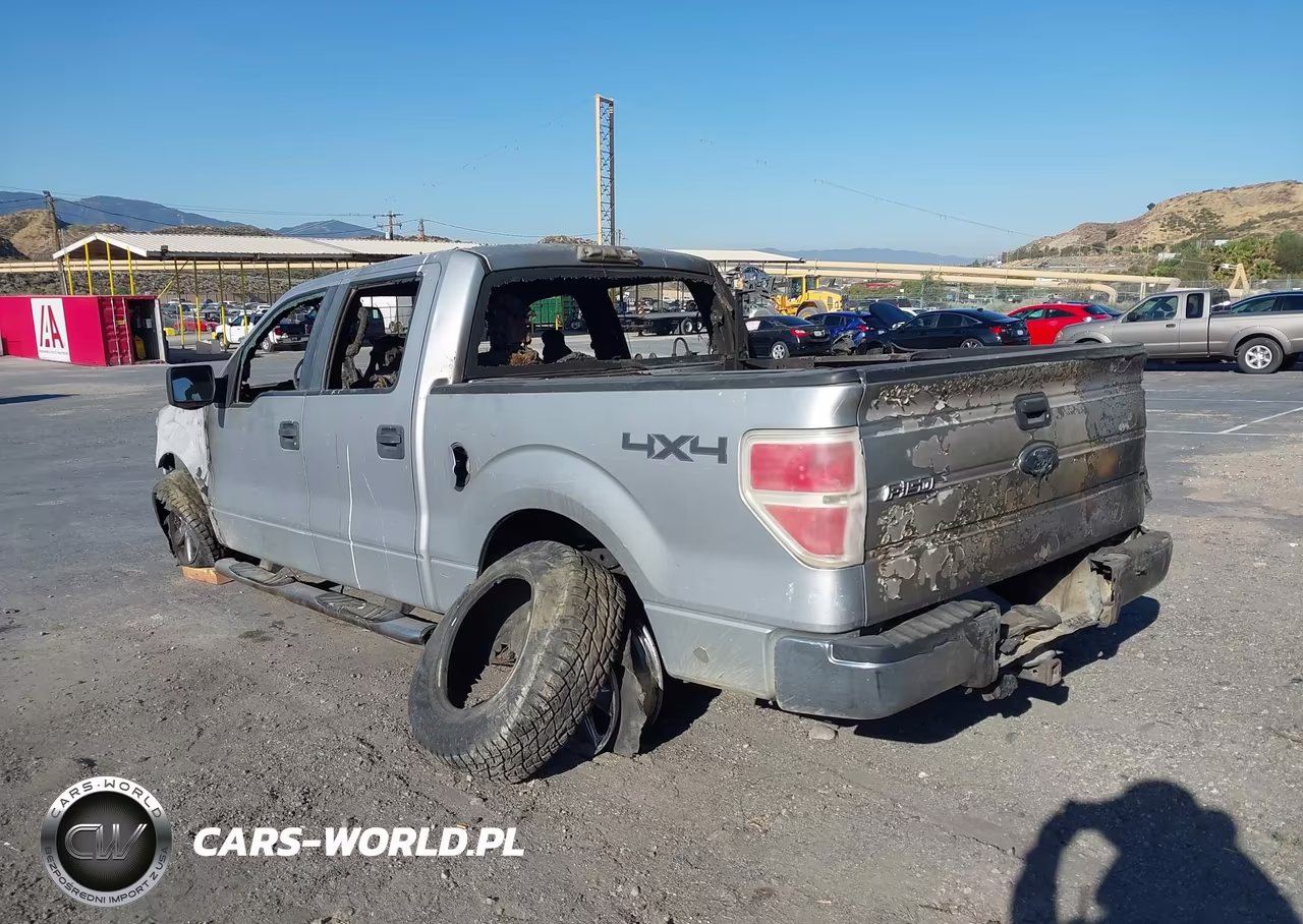 2010 Ford F-150 Xl-Xlt VIN:1FTEW1E84AFA12949 - 3