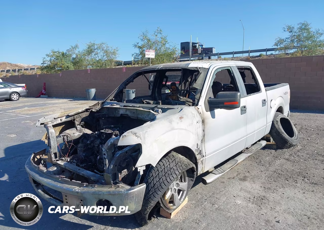 2010 Ford F-150 Xl-Xlt VIN:1FTEW1E84AFA12949 - 6
