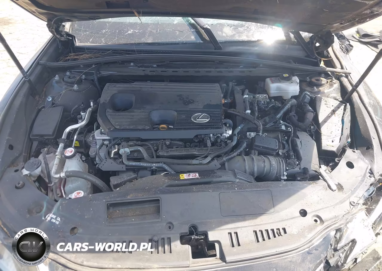 2024 Lexus Es 300H VIN:58ADA1C1XRU052335 - 10