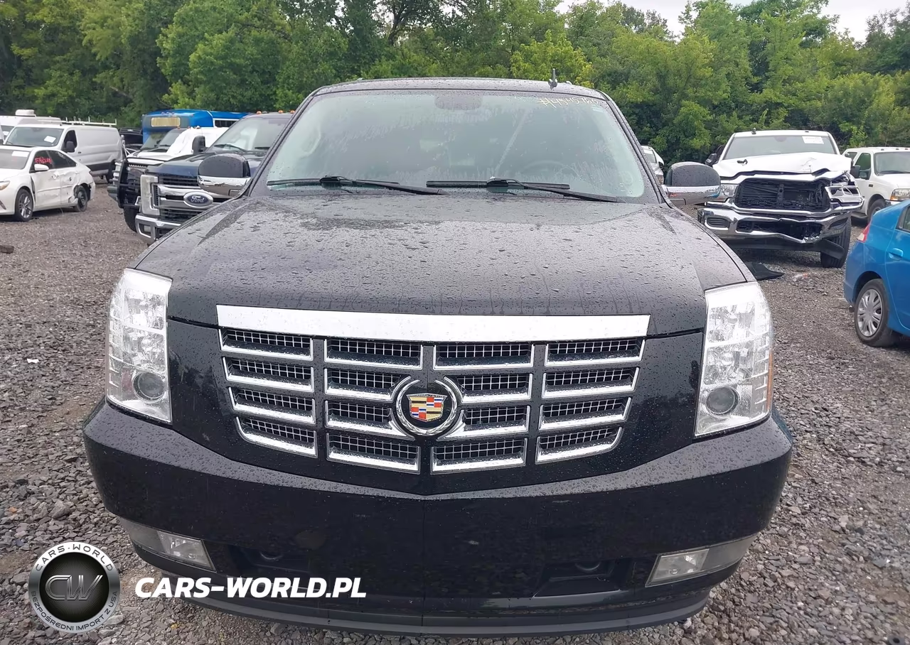 2014 Cadillac Escalade Luxury VIN:1GYS4BEF1ER195237 - 12