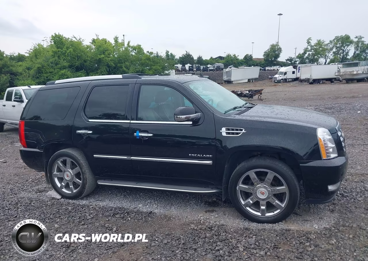 2014 Cadillac Escalade Luxury VIN:1GYS4BEF1ER195237 - 13