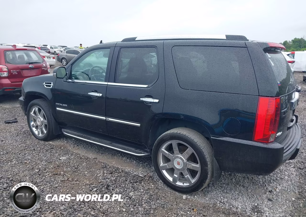 2014 Cadillac Escalade Luxury VIN:1GYS4BEF1ER195237 - 14