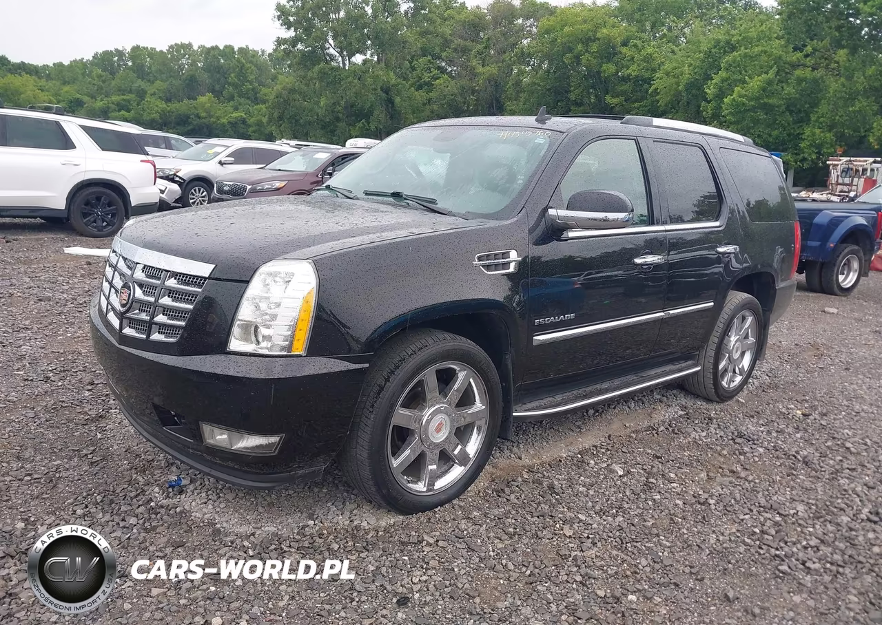 2014 Cadillac Escalade Luxury VIN:1GYS4BEF1ER195237 - 2