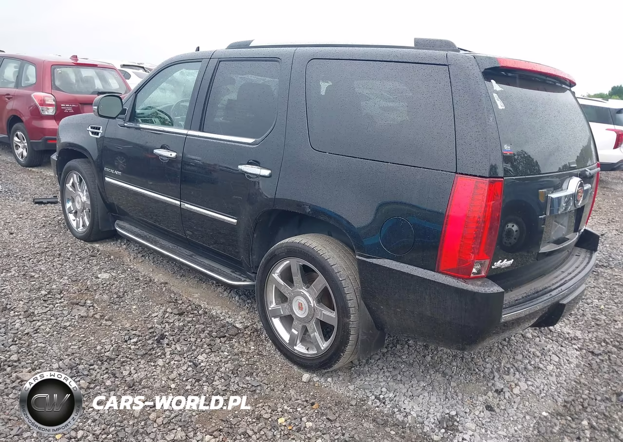 2014 Cadillac Escalade Luxury VIN:1GYS4BEF1ER195237 - 3