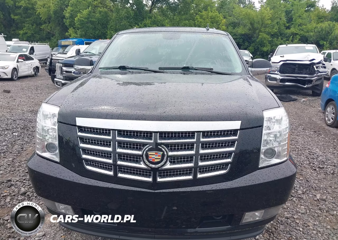 2014 Cadillac Escalade Luxury VIN:1GYS4BEF1ER195237 - 6