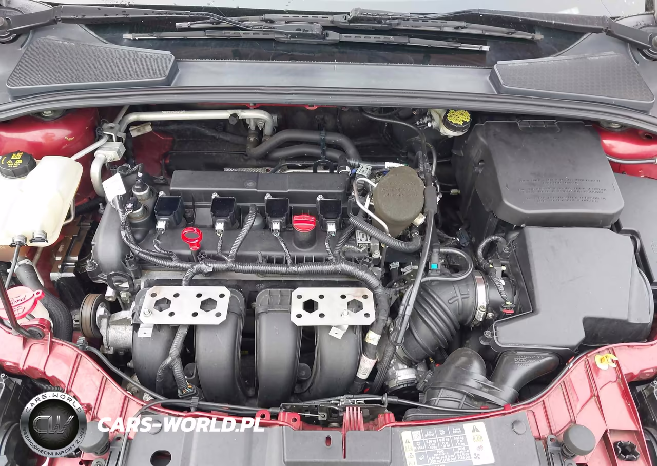 2015 Ford Focus Se VIN:1FADP3F21FL274313 - 10