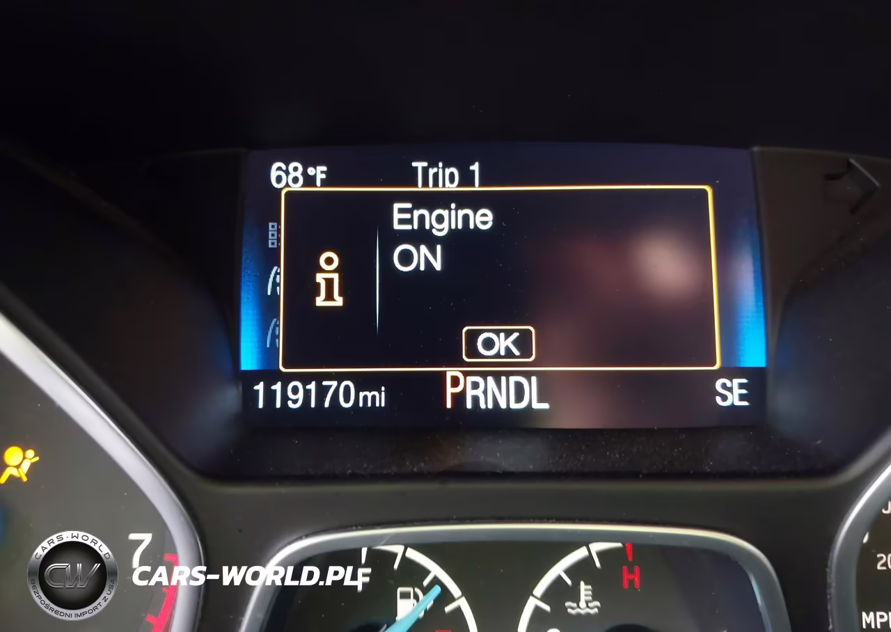 2015 Ford Focus Se VIN:1FADP3F21FL274313 - 15