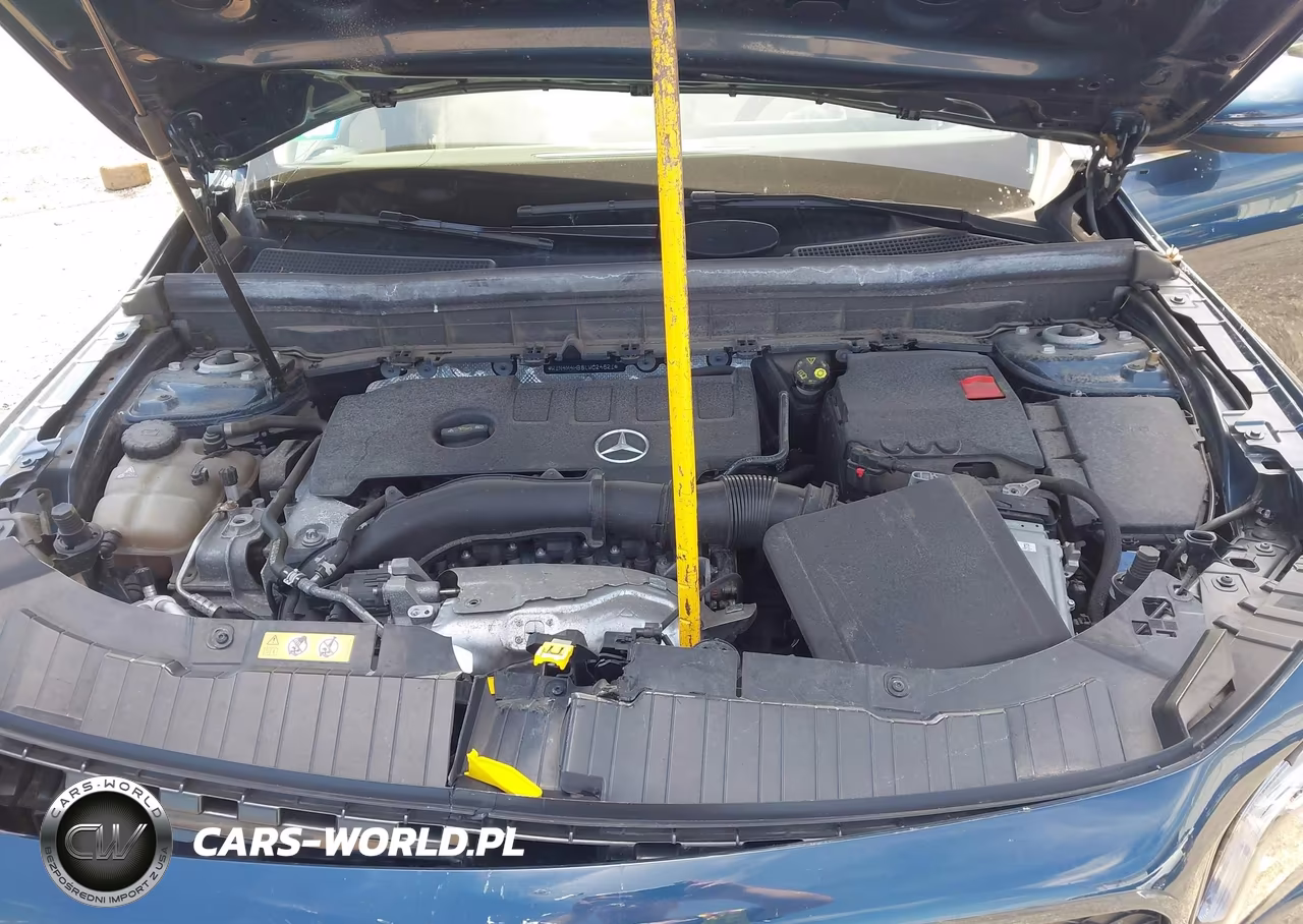 2020 Mercedes-Benz Glb 250 4Matic VIN:W1N4M4HB8LW024821 - 10