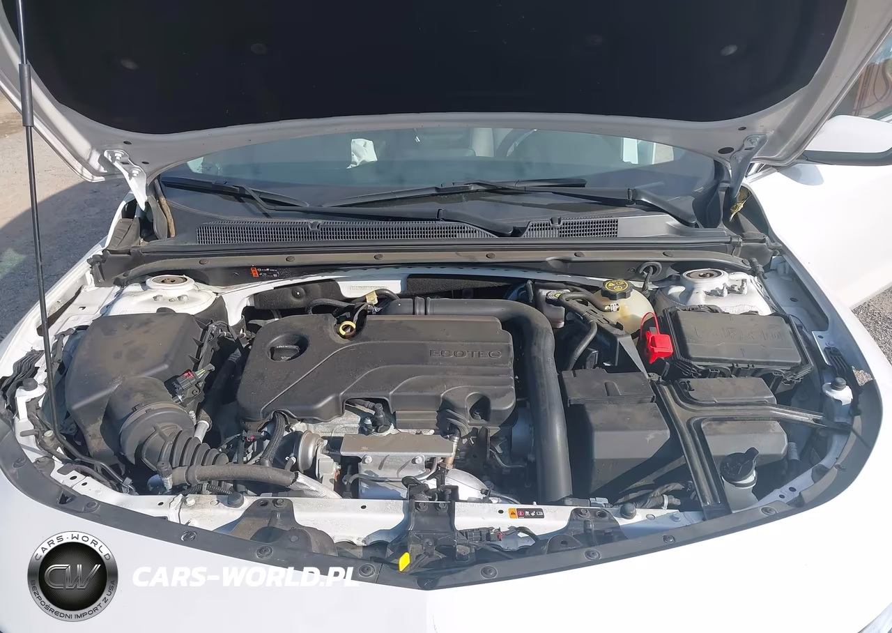 2019 Chevrolet Malibu Lt VIN:1G1ZD5ST7KF201869 - 10