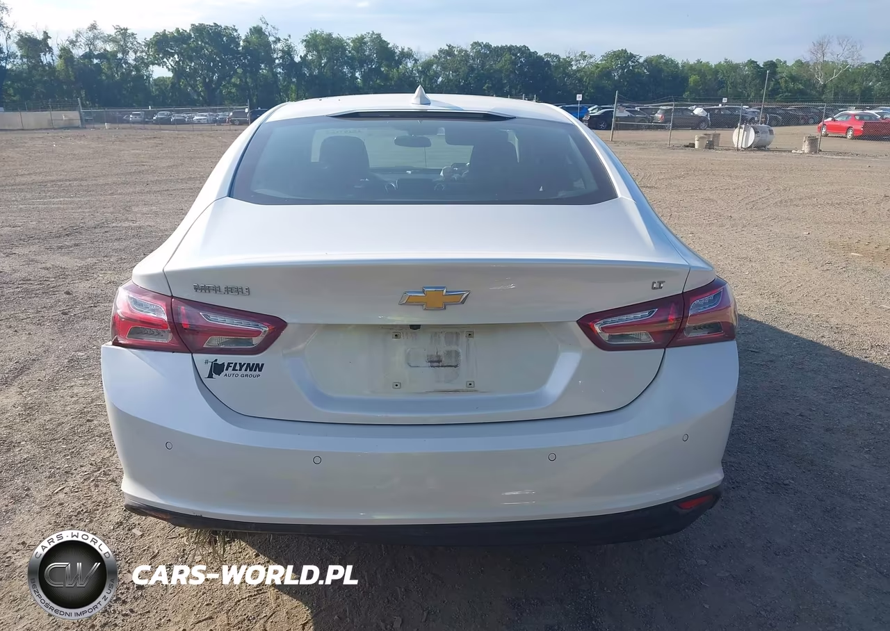 2019 Chevrolet Malibu Lt VIN:1G1ZD5ST7KF201869 - 17