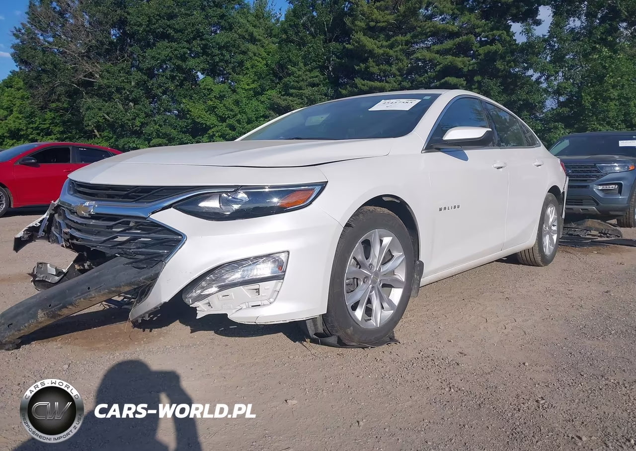 2019 Chevrolet Malibu Lt VIN:1G1ZD5ST7KF201869 - 2