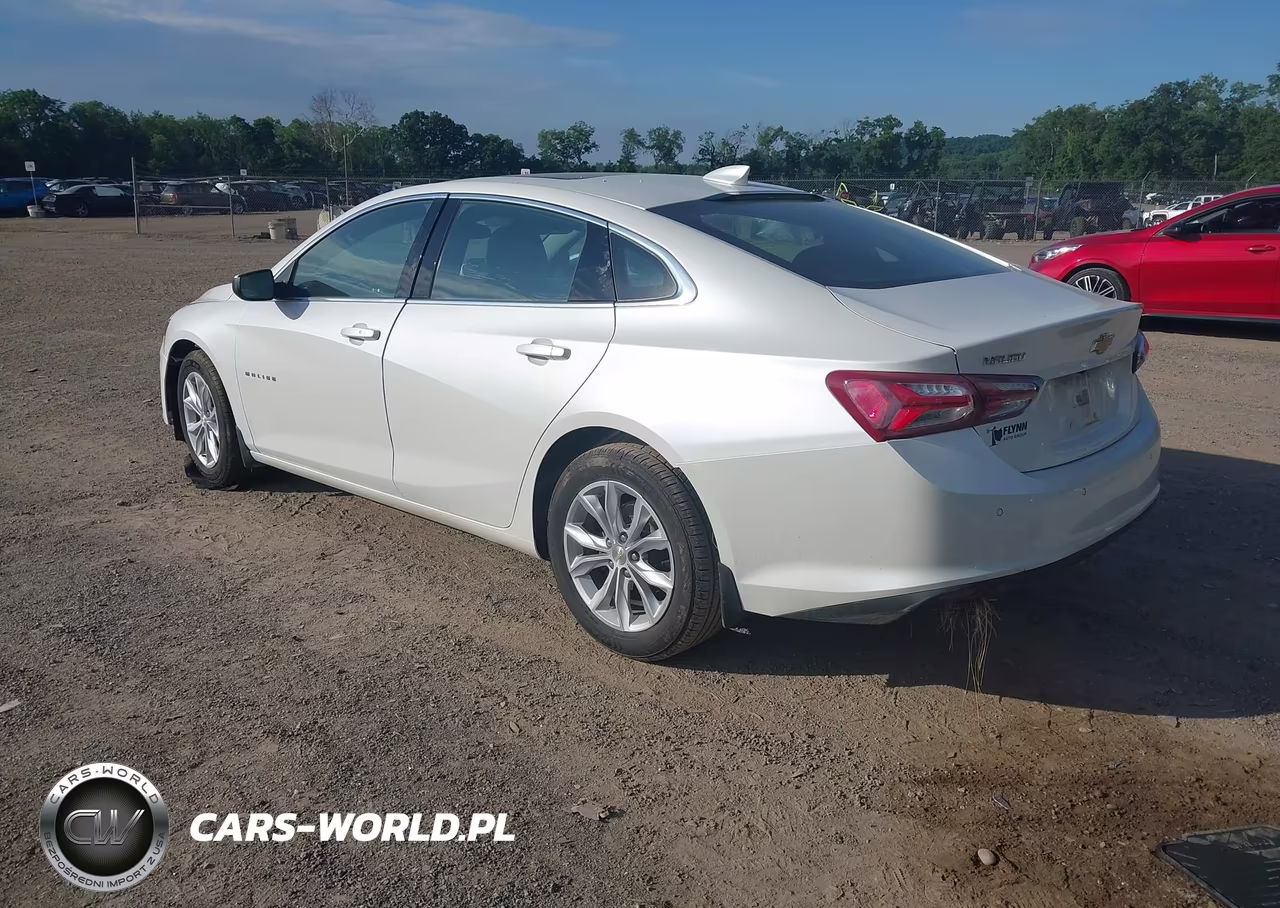 2019 Chevrolet Malibu Lt VIN:1G1ZD5ST7KF201869 - 3