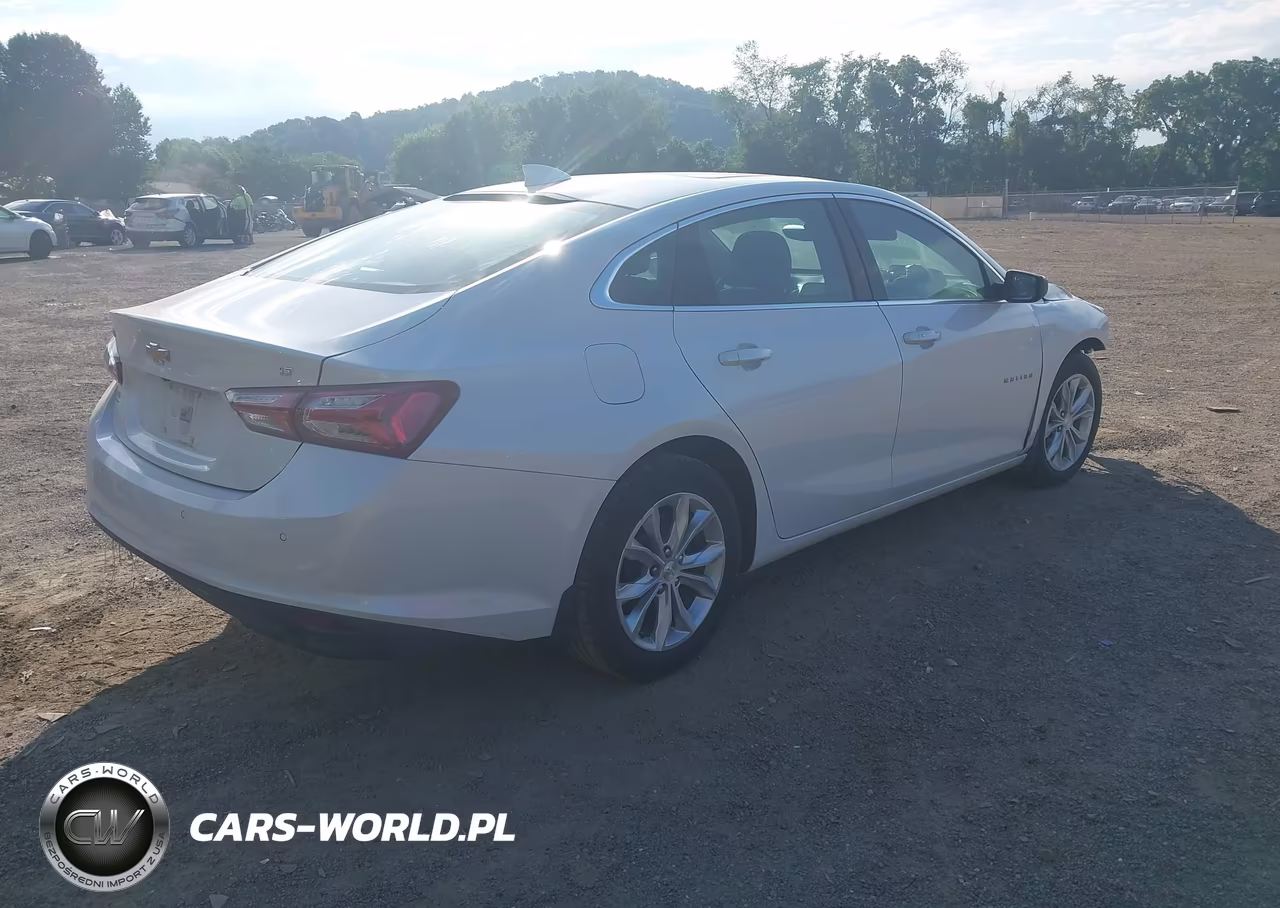 2019 Chevrolet Malibu Lt VIN:1G1ZD5ST7KF201869 - 4